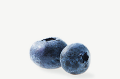 https://home.fage/sites/default/files/Blueberry_0%20%281%29_4.png