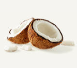 Coconut_nutrition